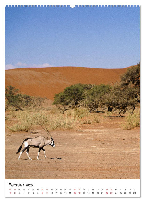 Naturparadies Namibia (CALVENDO Premium Wandkalender 2025)