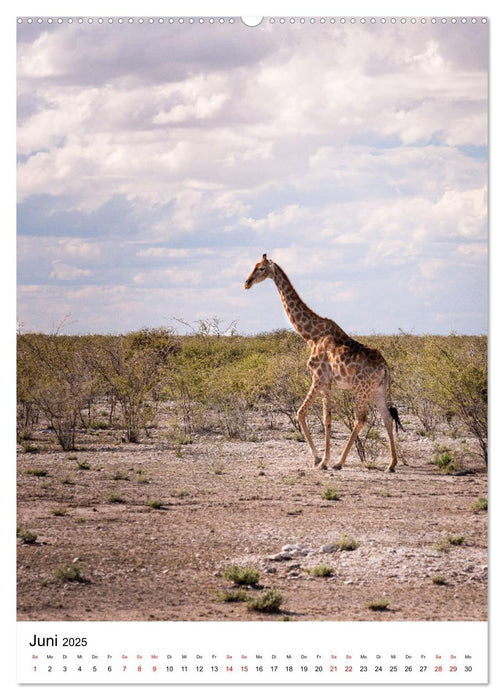 Naturparadies Namibia (CALVENDO Premium Wandkalender 2025)