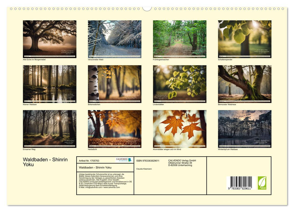 Waldbaden - Shinrin Yoku (CALVENDO Premium Wandkalender 2025)