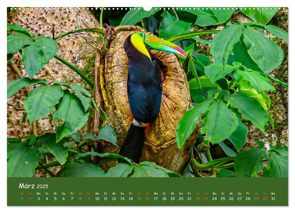Costa Rica - Naturparadies zwischen Karibik und Pazifik (CALVENDO Premium Wandkalender 2025)