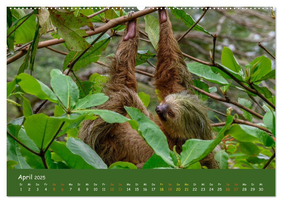 Costa Rica - Naturparadies zwischen Karibik und Pazifik (CALVENDO Premium Wandkalender 2025)