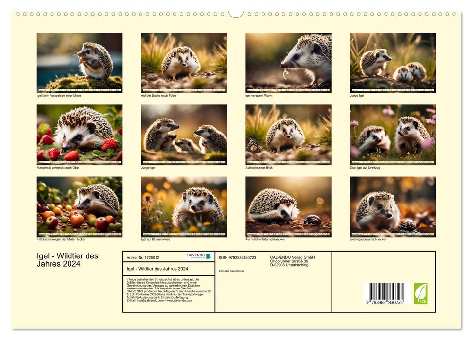 Igel - Wildtier des Jahres 2024 (CALVENDO Premium Wandkalender 2025)