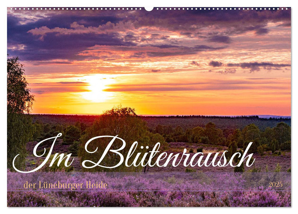 Im Blütenrausch der Lüneburger Heide (CALVENDO Wandkalender 2025)
