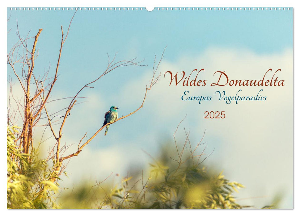 Wildes Donaudelta (CALVENDO Wandkalender 2025)