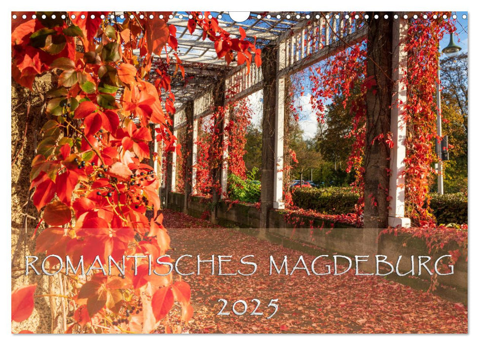 Romantisches Magdeburg (CALVENDO Wandkalender 2025)