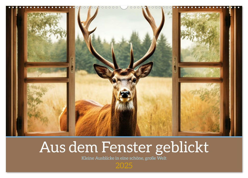 Aus dem Fenster geblickt (CALVENDO Wandkalender 2025)