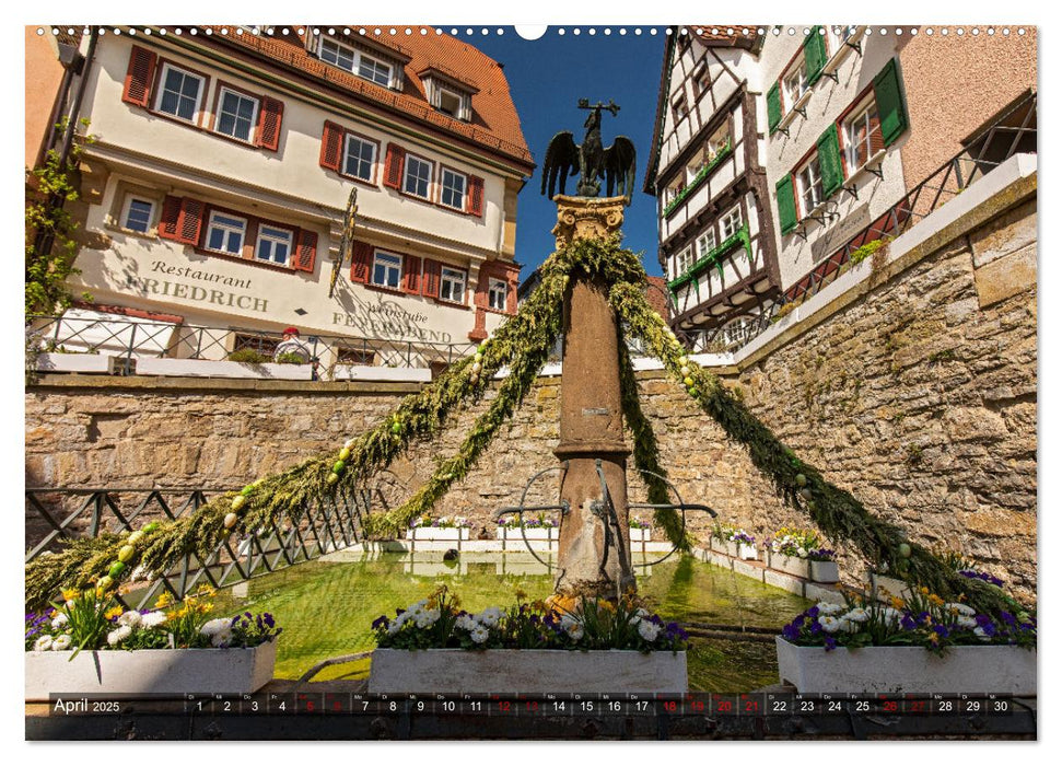 Bad Wimpfen - Historisches Juwel am Neckar (CALVENDO Premium Wandkalender 2025)