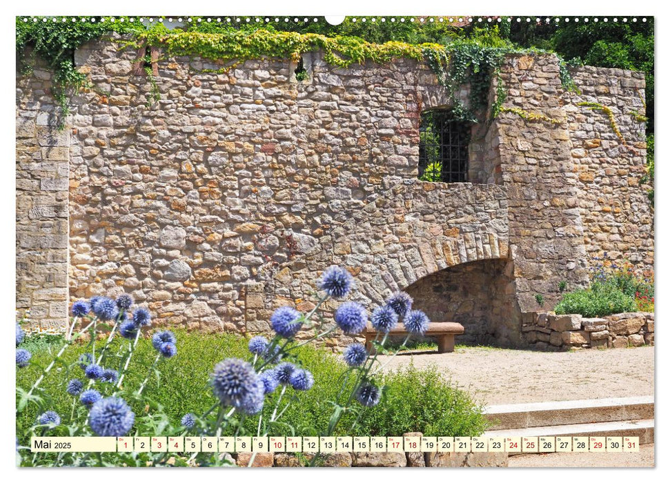 Heppenheim - Weinstadt unter der Starkenburg (CALVENDO Wandkalender 2025)