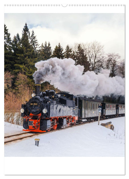 Faszination Museumsbahn (CALVENDO Wandkalender 2025)