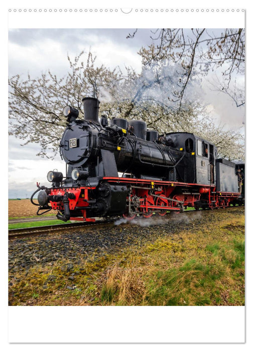 Faszination Museumsbahn (CALVENDO Wandkalender 2025)