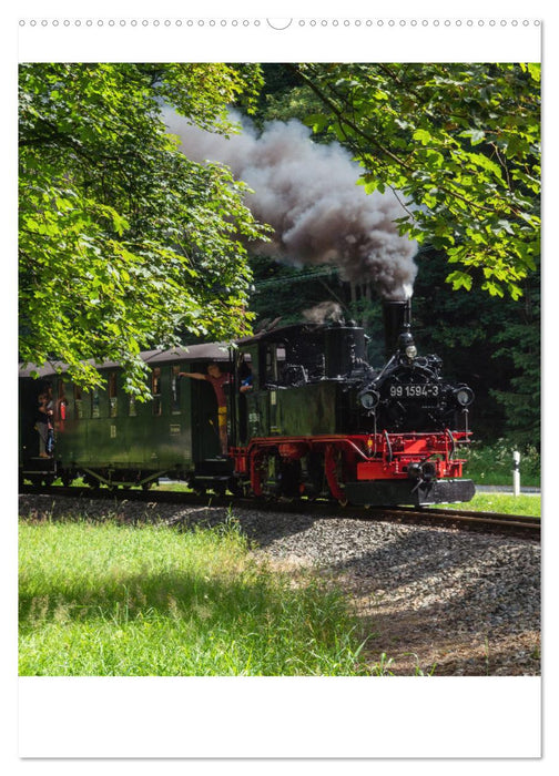 Faszination Museumsbahn (CALVENDO Wandkalender 2025)