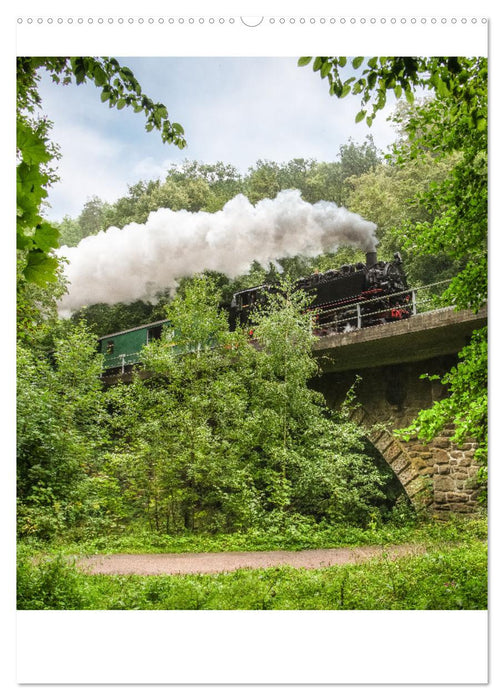 Faszination Museumsbahn (CALVENDO Wandkalender 2025)