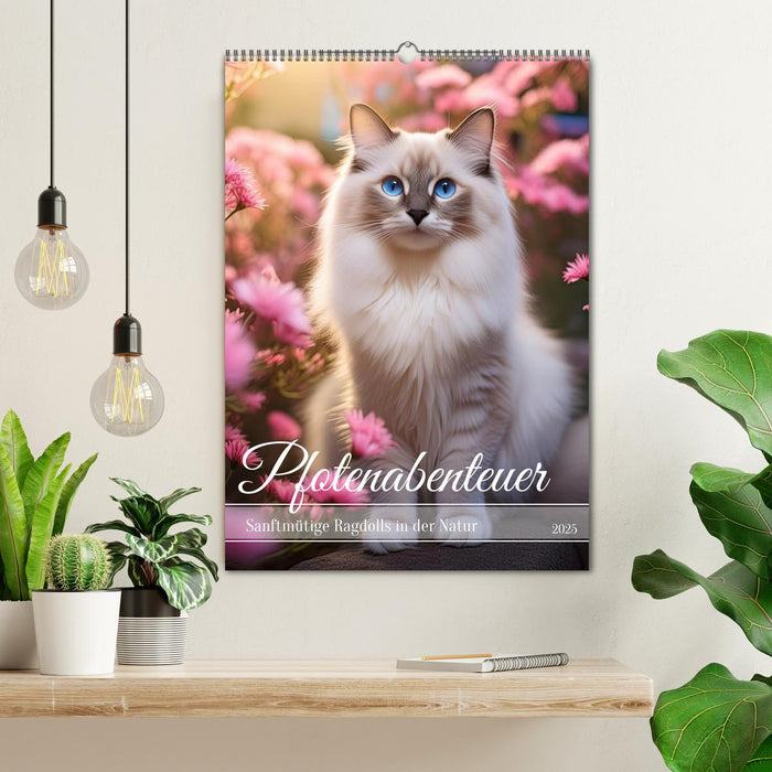 Pfotenabenteuer - Ragdolls in der Natur (CALVENDO Wandkalender 2025)