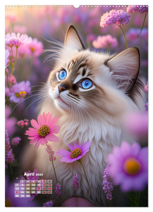 Pfotenabenteuer - Ragdolls in der Natur (CALVENDO Premium Wandkalender 2025)