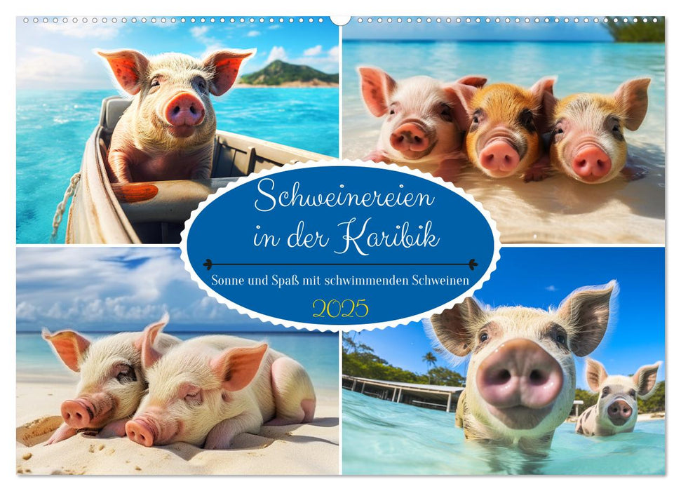 Schweinereien in der Karibik. Sonne und Spaß mit schwimmenden Schweinen (CALVENDO Wandkalender 2025)