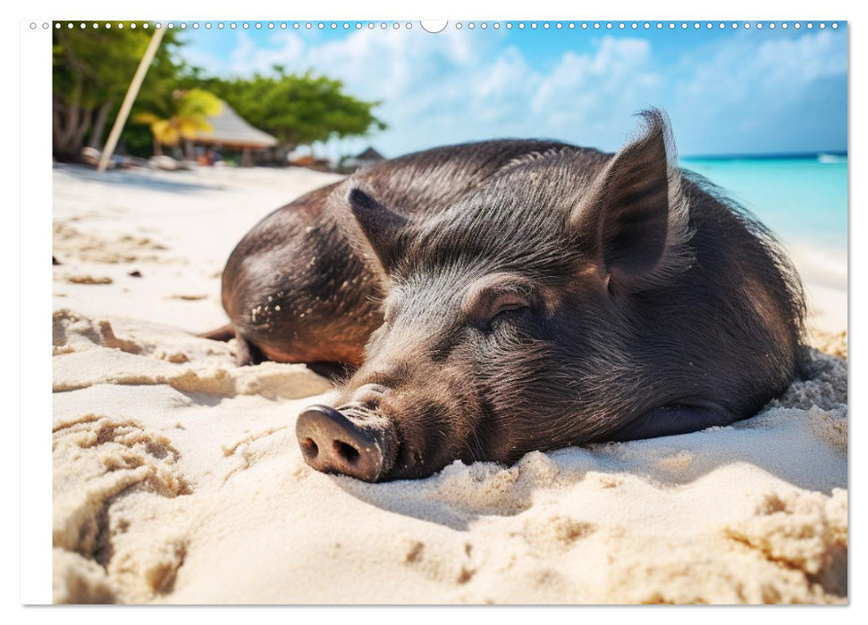 Schweinereien in der Karibik. Sonne und Spaß mit schwimmenden Schweinen (CALVENDO Wandkalender 2025)