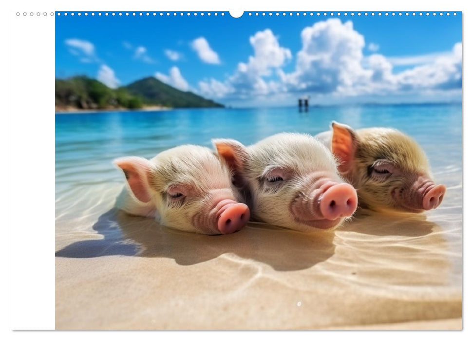 Schweinereien in der Karibik. Sonne und Spaß mit schwimmenden Schweinen (CALVENDO Wandkalender 2025)