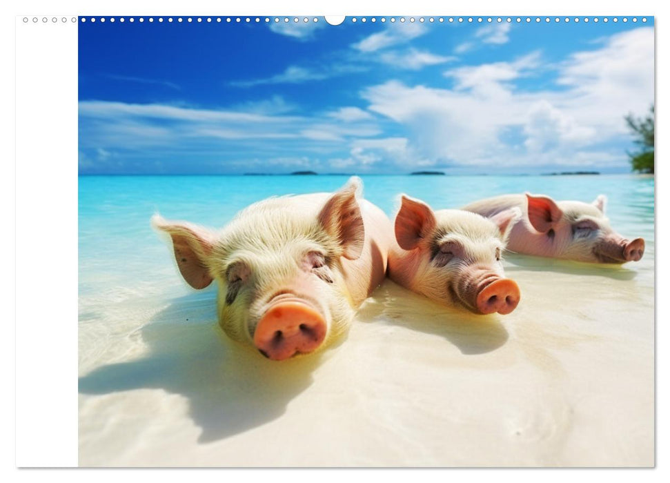 Schweinereien in der Karibik. Sonne und Spaß mit schwimmenden Schweinen (CALVENDO Wandkalender 2025)