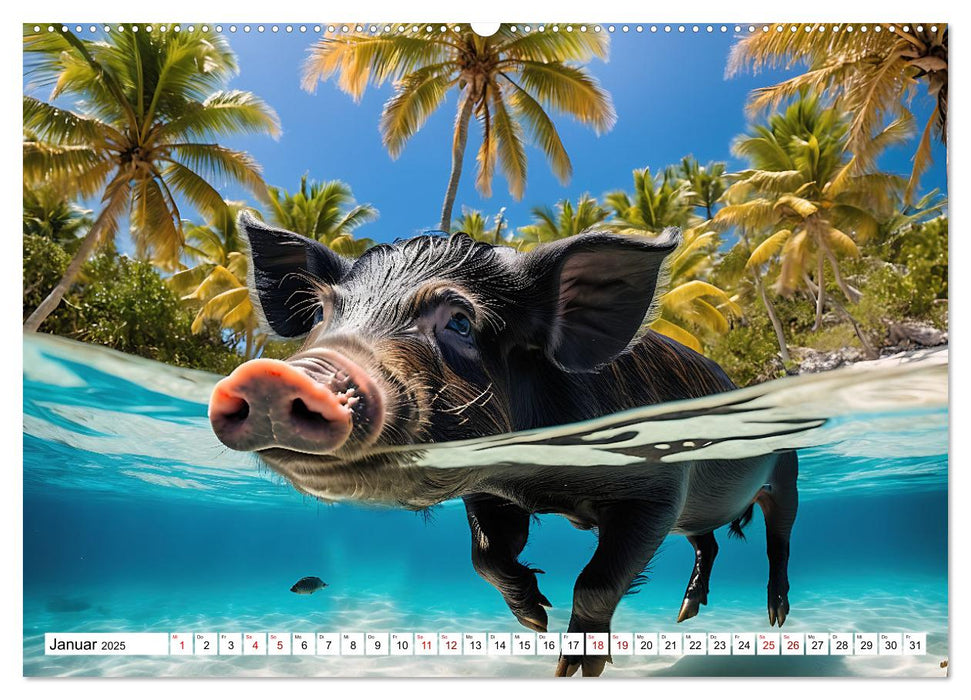 Schwimmende Schweine im Paradies (CALVENDO Wandkalender 2025)