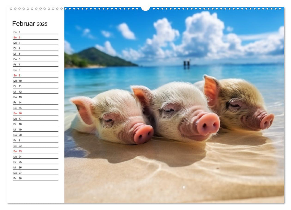 Schweinereien in der Karibik. Sonne und Spaß mit schwimmenden Schweinen (CALVENDO Premium Wandkalender 2025)