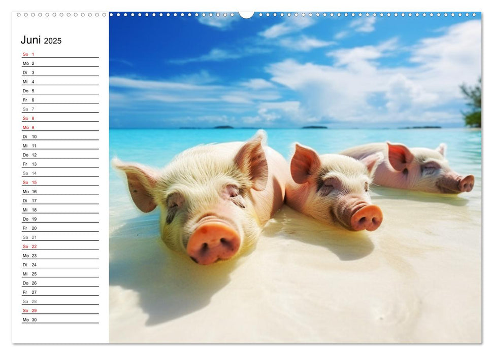 Schweinereien in der Karibik. Sonne und Spaß mit schwimmenden Schweinen (CALVENDO Premium Wandkalender 2025)