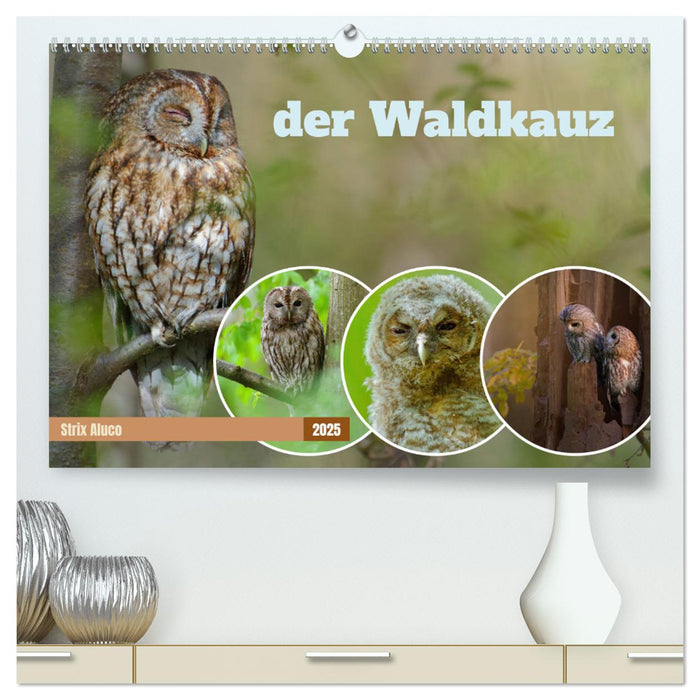 der Waldkauz - Strix Aluco (CALVENDO Premium Wandkalender 2025)