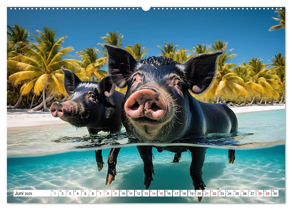 Schwimmende Schweine im Paradies (CALVENDO Premium Wandkalender 2025)