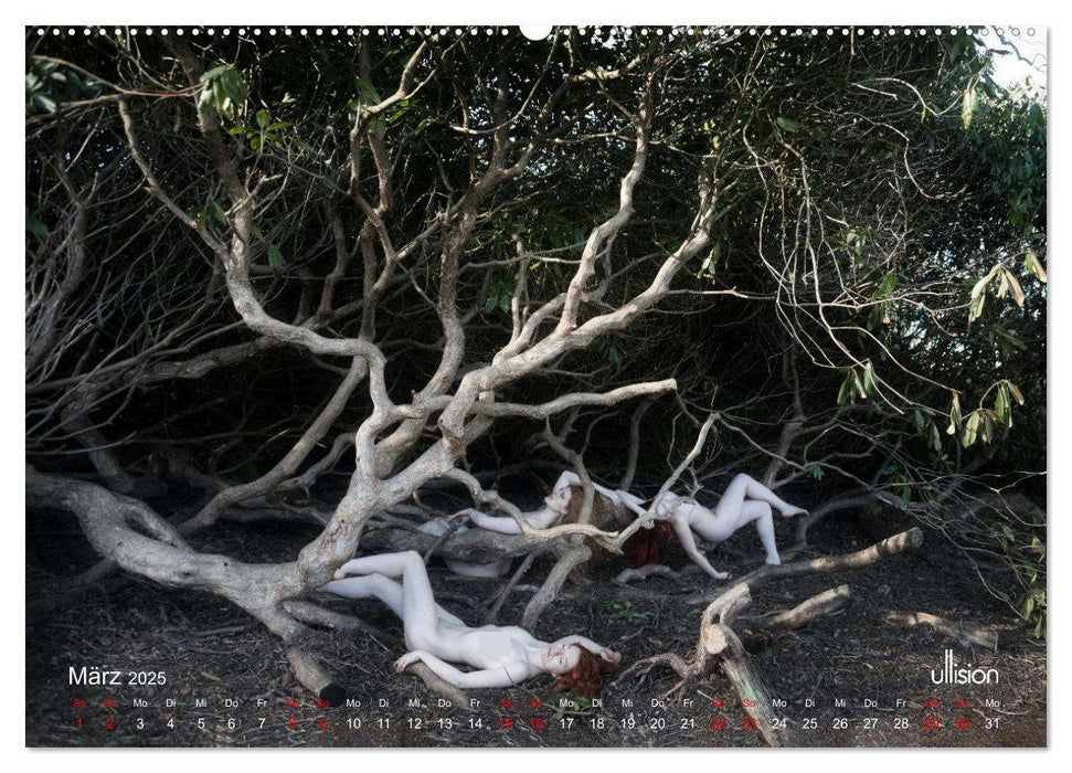 Poesie der Stille – Akt in der Natur (CALVENDO Wandkalender 2025)