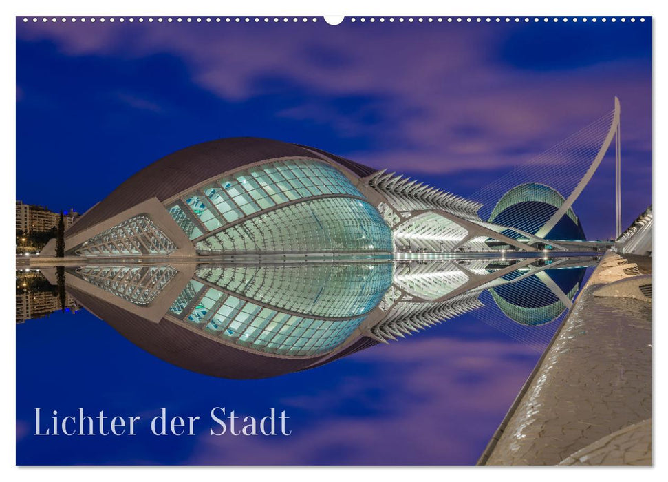 Lichter der Stadt (CALVENDO Wandkalender 2025)