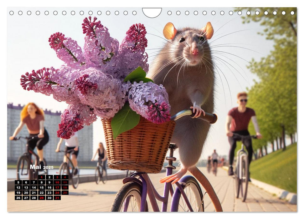 Lustige Ratten (CALVENDO Wandkalender 2025)