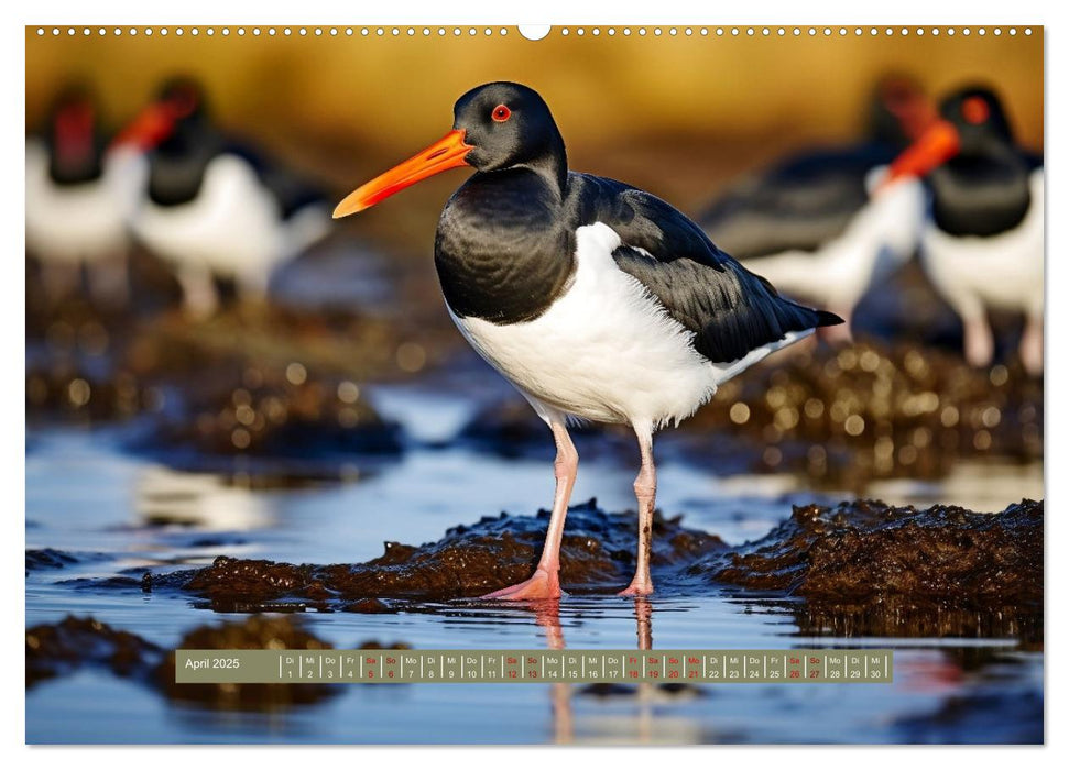 Biotop zwischen Land und Meer (CALVENDO Wandkalender 2025)