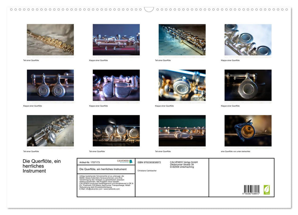 Die Querflöte, ein herrliches Instrument (CALVENDO Wandkalender 2025)
