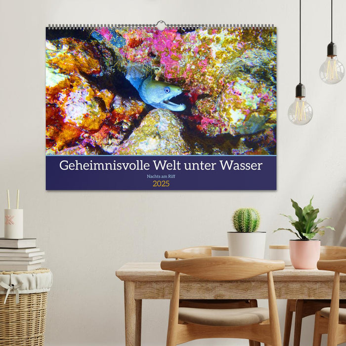 Geheimnisvolle Welt unter Wasser - Nachts am Riff (CALVENDO Wandkalender 2025)