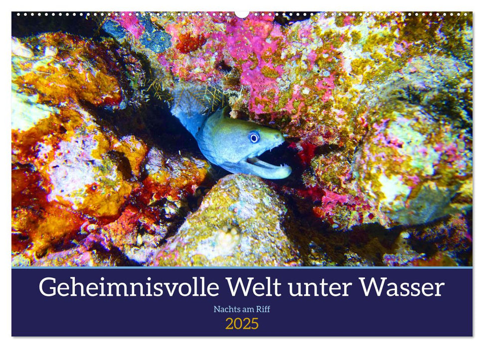 Geheimnisvolle Welt unter Wasser - Nachts am Riff (CALVENDO Wandkalender 2025)