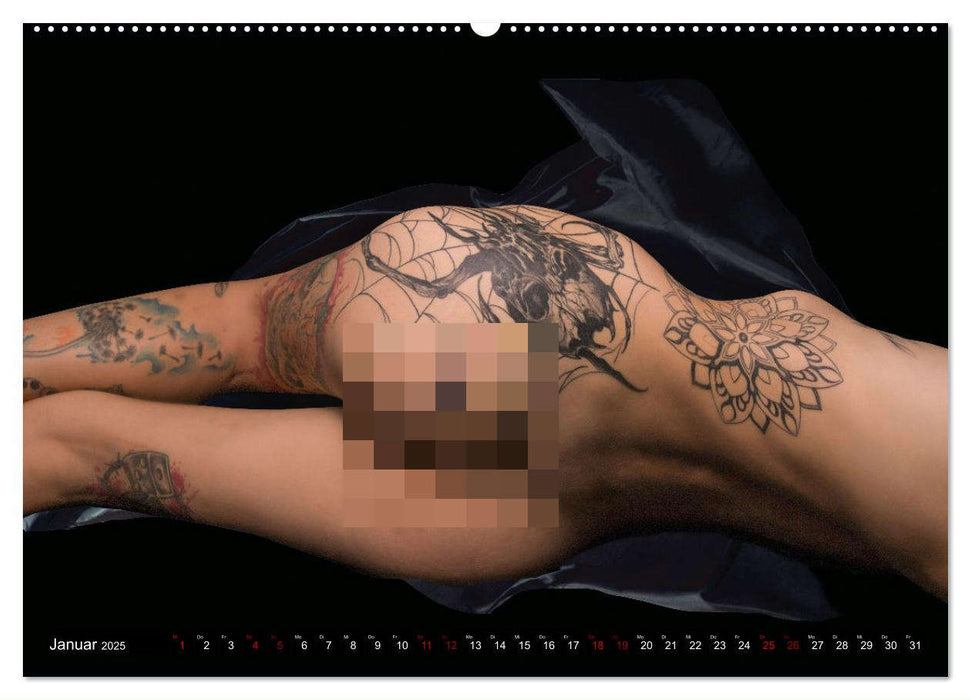 Elegante Intimität (CALVENDO Wandkalender 2025)