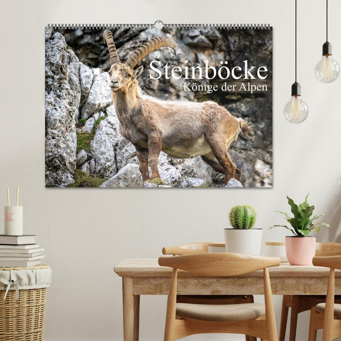 Steinböcke - Majestätische Tiere der Alpen (CALVENDO Wandkalender 2025)