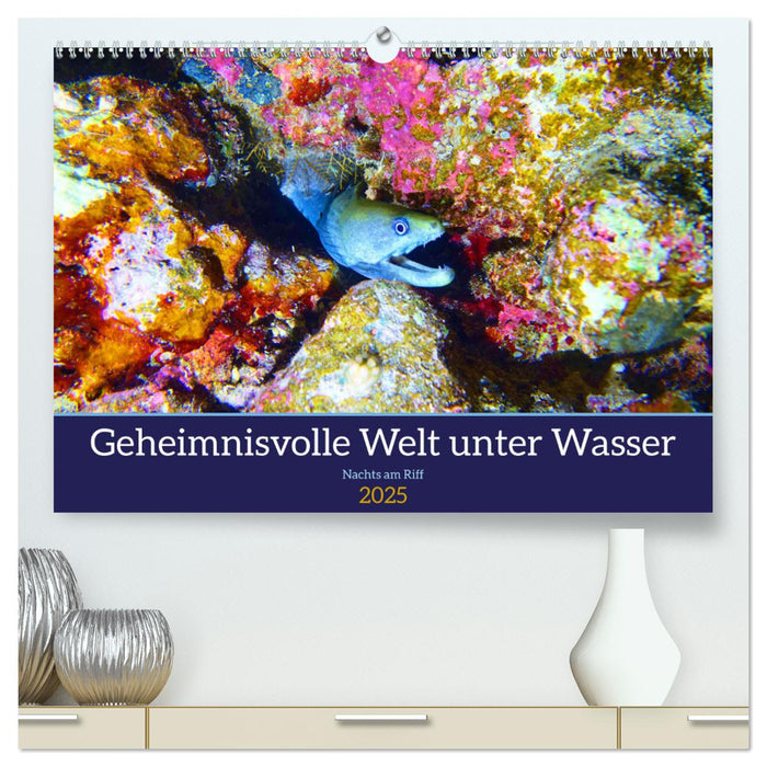 Geheimnisvolle Welt unter Wasser - Nachts am Riff (CALVENDO Premium Wandkalender 2025)