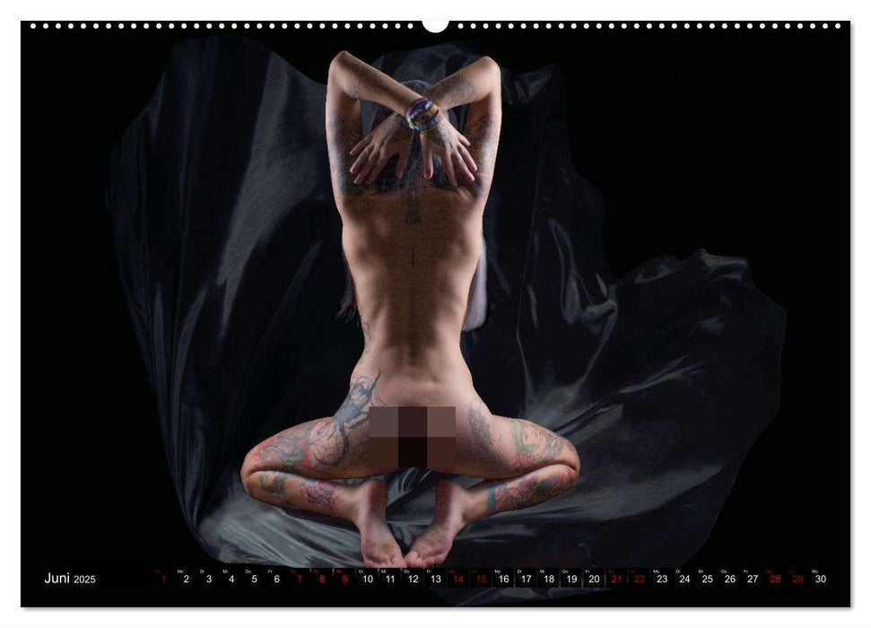 Elegante Intimität (CALVENDO Premium Wandkalender 2025)