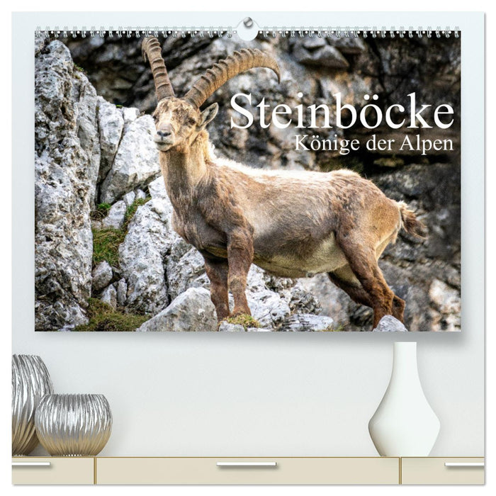 Steinböcke - Majestätische Tiere der Alpen (CALVENDO Premium Wandkalender 2025)