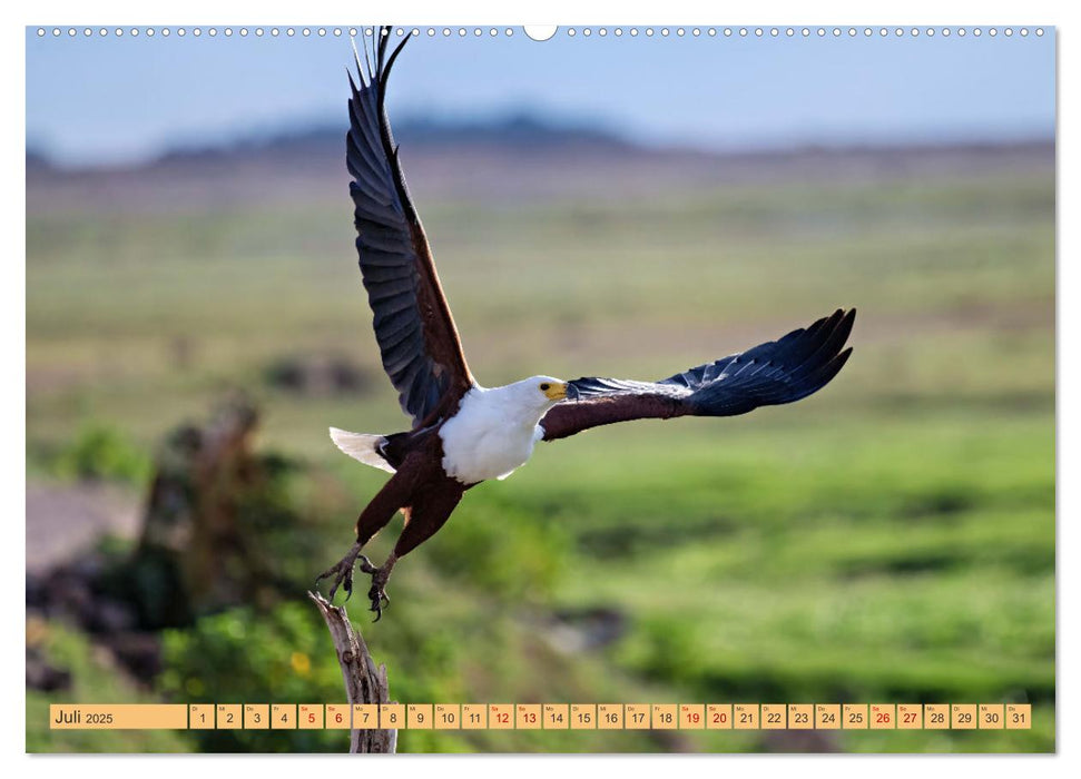 Magische Momente aus Kenia (CALVENDO Premium Wandkalender 2025)