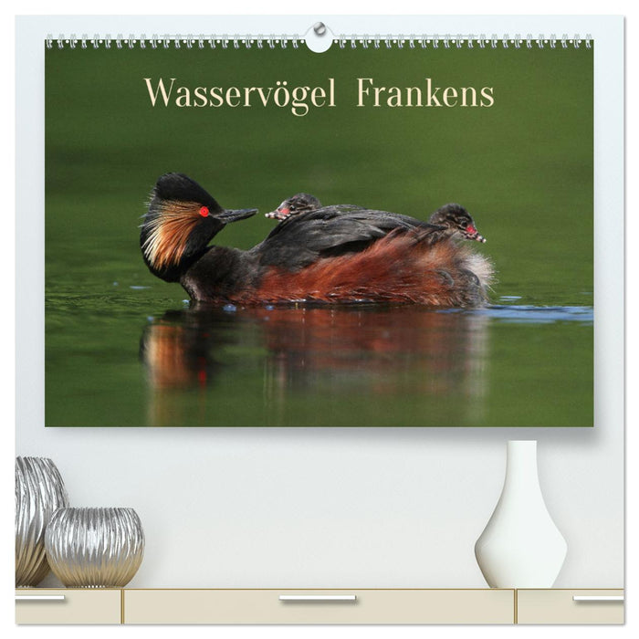 Wasservögel Frankens (CALVENDO Premium Wandkalender 2025)