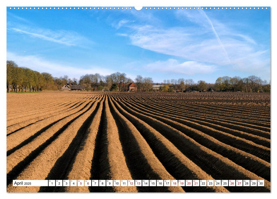 Unser schönes Mecklenburg (CALVENDO Wandkalender 2025)