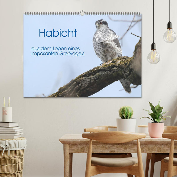 Habicht - aus dem Leben eines imposanten Greifvogels (CALVENDO Wandkalender 2025)