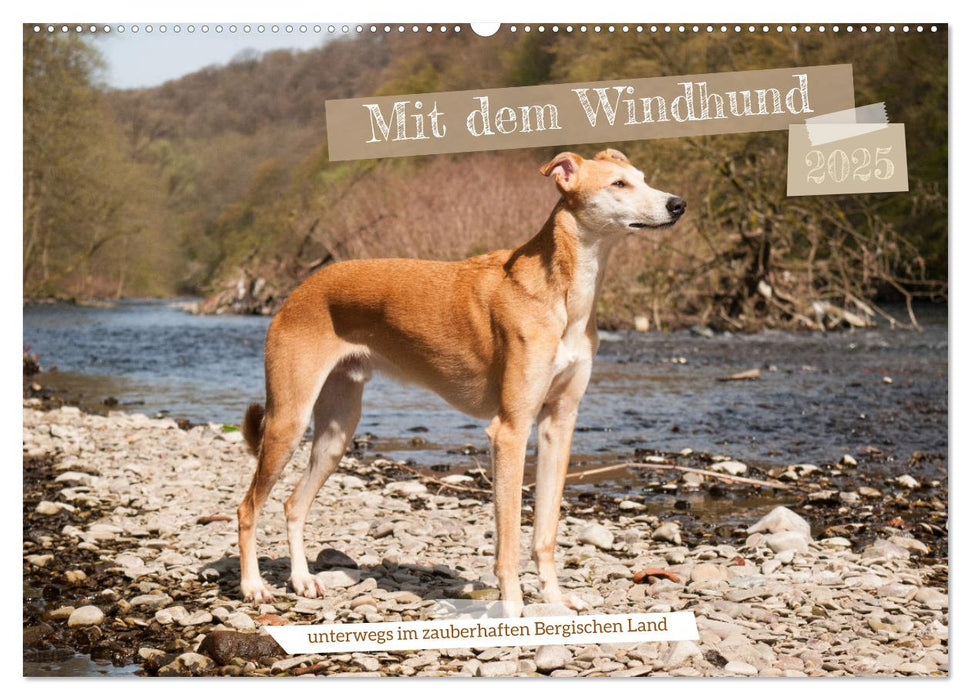 Mit dem Windhund unterwegs im zauberhaften Bergischen Land (CALVENDO Wandkalender 2025)