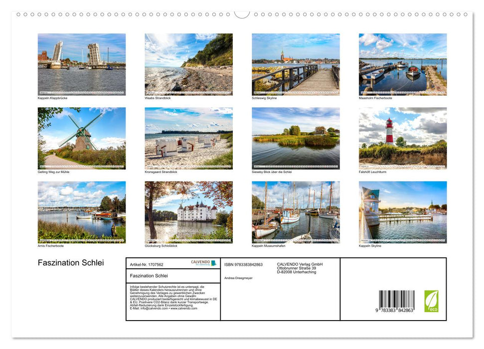 Faszination Schlei (CALVENDO Premium Wandkalender 2025)