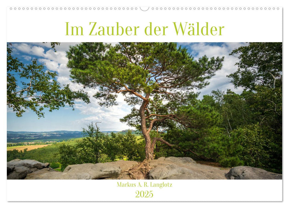 Im Zauber der Wälder (CALVENDO Wandkalender 2025)