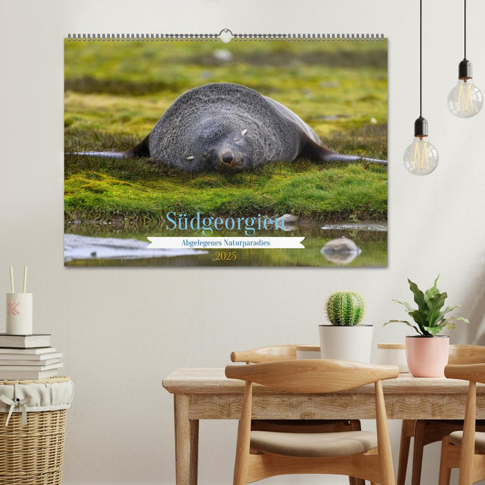 Südgeorgien - Abgelegenes Naturparadies (CALVENDO Wandkalender 2025)