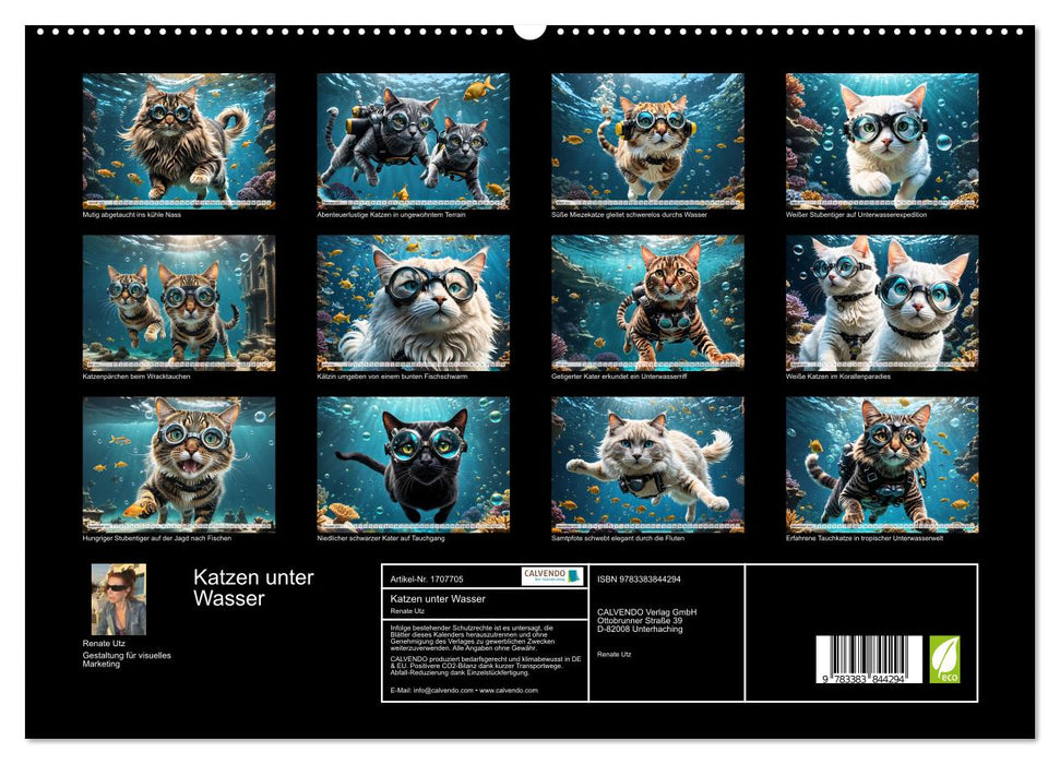 Katzen unter Wasser (CALVENDO Premium Wandkalender 2025)