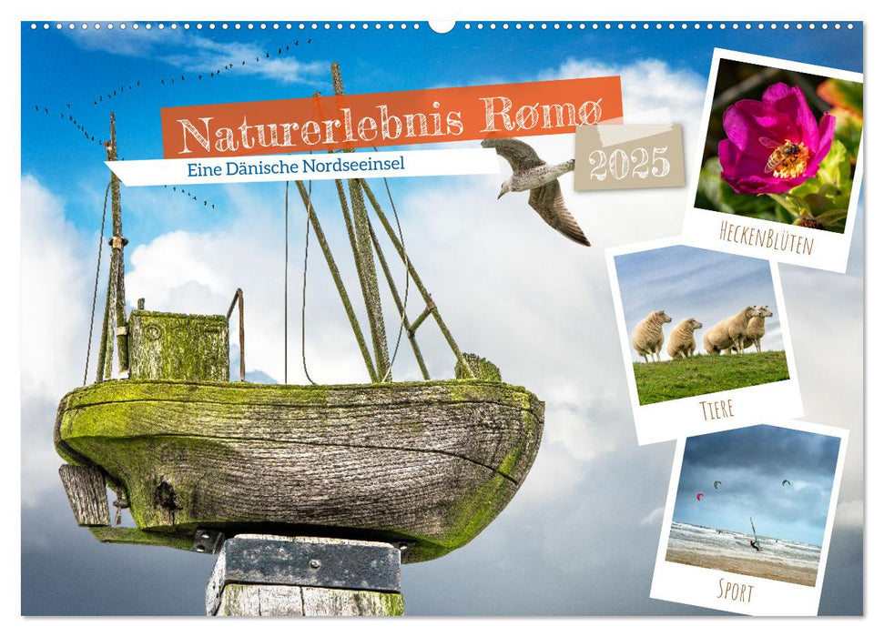 Naturerlebnis Rømø (CALVENDO Wandkalender 2025)