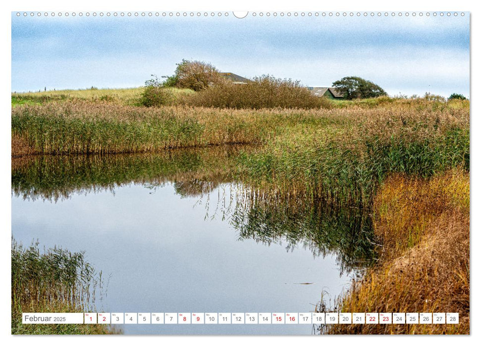 Naturerlebnis Rømø (CALVENDO Wandkalender 2025)